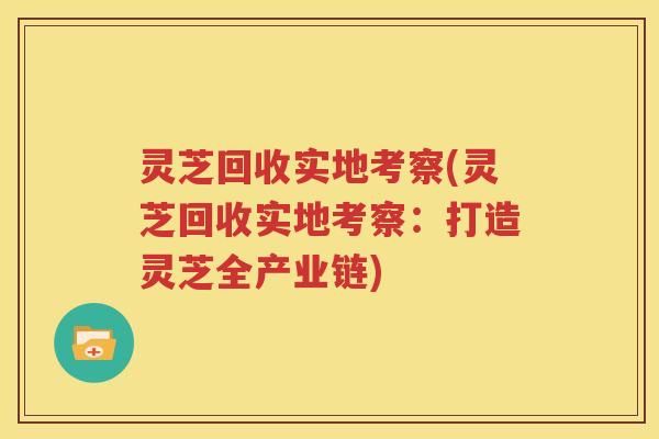 灵芝回收实地考察(灵芝回收实地考察：打造灵芝全产业链)