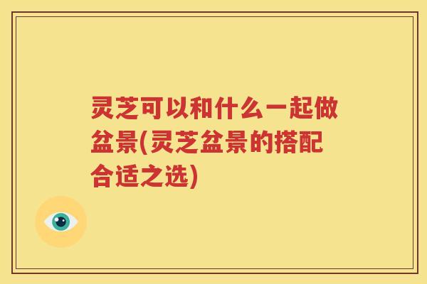 灵芝可以和什么一起做盆景(灵芝盆景的搭配合适之选)