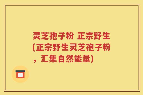 灵芝孢子粉 正宗野生(正宗野生灵芝孢子粉，汇集自然能量)