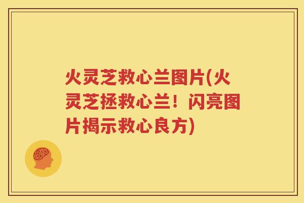 火灵芝救心兰图片(火灵芝拯救心兰！闪亮图片揭示救心良方)