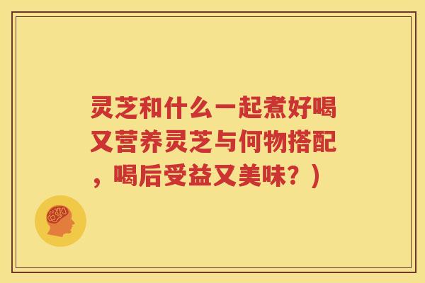 灵芝和什么一起煮好喝又营养灵芝与何物搭配，喝后受益又美味？)