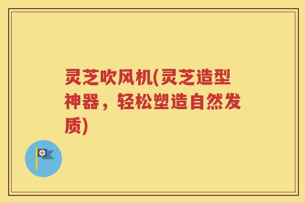 灵芝吹风机(灵芝造型神器，轻松塑造自然发质)