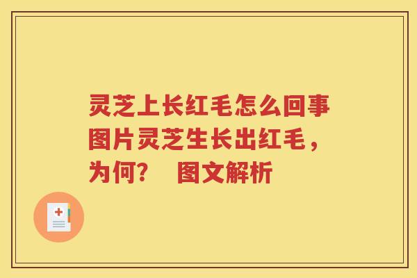 灵芝上长红毛怎么回事图片灵芝生长出红毛，为何？  图文解析