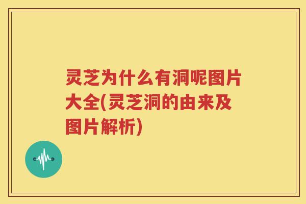 灵芝为什么有洞呢图片大全(灵芝洞的由来及图片解析)