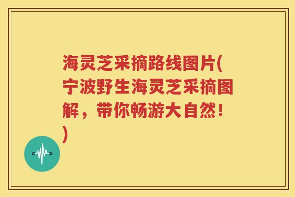 海灵芝采摘路线图片(宁波野生海灵芝采摘图解，带你畅游大自然！)