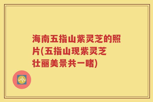 海南五指山紫灵芝的照片(五指山现紫灵芝 壮丽美景共一睹)