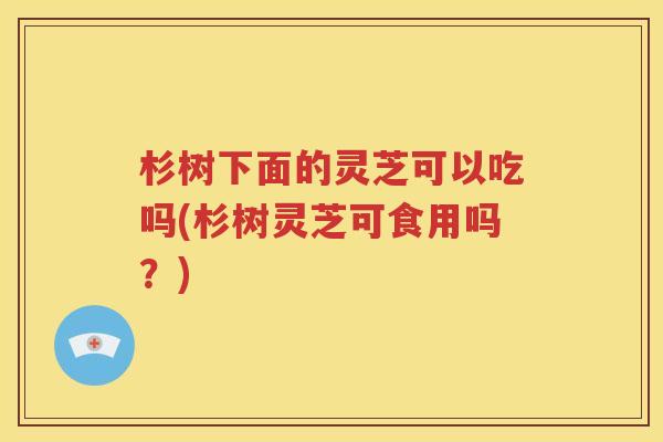 杉树下面的灵芝可以吃吗(杉树灵芝可食用吗？)