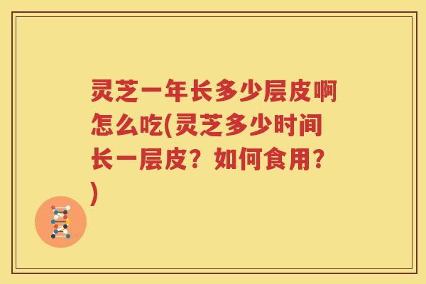 灵芝一年长多少层皮啊怎么吃(灵芝多少时间长一层皮？如何食用？)