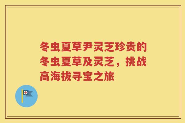 冬虫夏草尹灵芝珍贵的冬虫夏草及灵芝，挑战高海拔寻宝之旅
