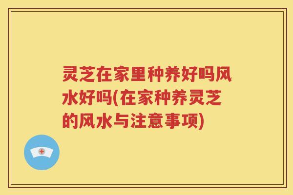 灵芝在家里种养好吗风水好吗(在家种养灵芝的风水与注意事项)