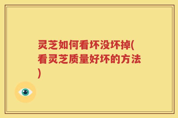 灵芝如何看坏没坏掉(看灵芝质量好坏的方法)