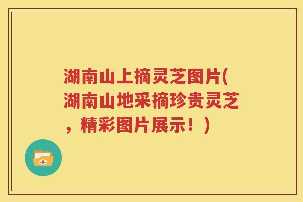 湖南山上摘灵芝图片(湖南山地采摘珍贵灵芝，精彩图片展示！)
