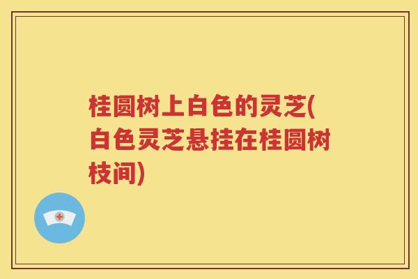 桂圆树上白色的灵芝(白色灵芝悬挂在桂圆树枝间)