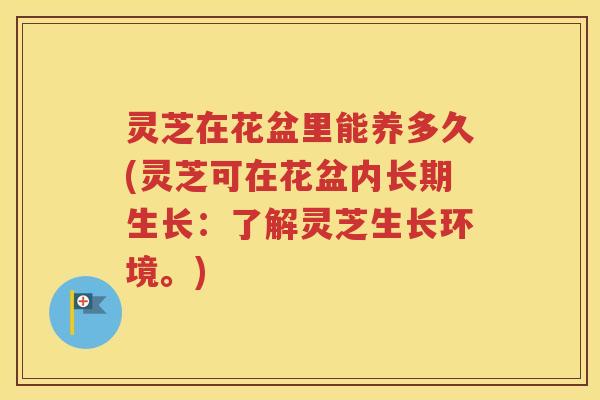 灵芝在花盆里能养多久(灵芝可在花盆内长期生长：了解灵芝生长环境。)