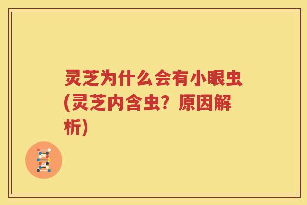 灵芝为什么会有小眼虫(灵芝内含虫？原因解析)