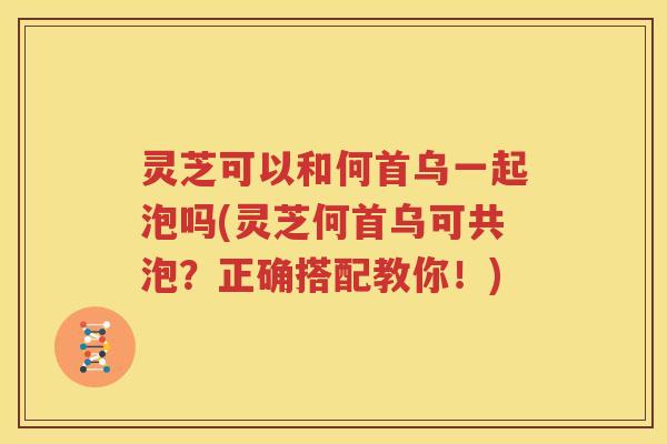 灵芝可以和何首乌一起泡吗(灵芝何首乌可共泡？正确搭配教你！)
