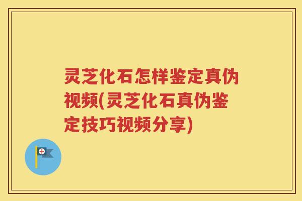 灵芝化石怎样鉴定真伪视频(灵芝化石真伪鉴定技巧视频分享)