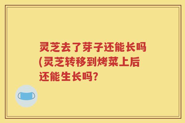 灵芝去了芽子还能长吗(灵芝转移到烤菜上后还能生长吗？