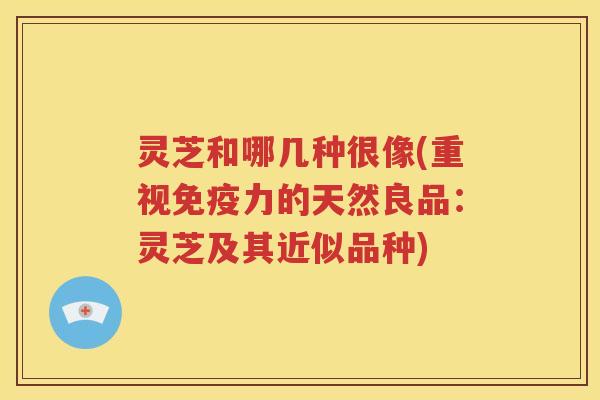 灵芝和哪几种很像(重视免疫力的天然良品：灵芝及其近似品种)