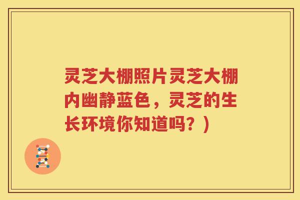 灵芝大棚照片灵芝大棚内幽静蓝色，灵芝的生长环境你知道吗？)