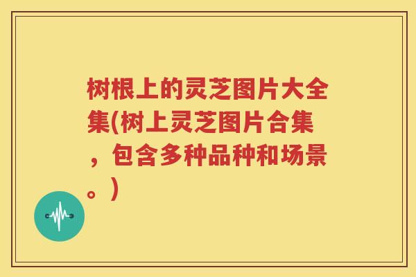树根上的灵芝图片大全集(树上灵芝图片合集，包含多种品种和场景。)