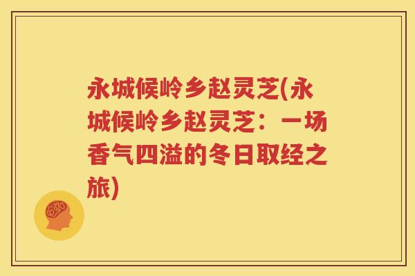 永城候岭乡赵灵芝(永城候岭乡赵灵芝：一场香气四溢的冬日取经之旅)