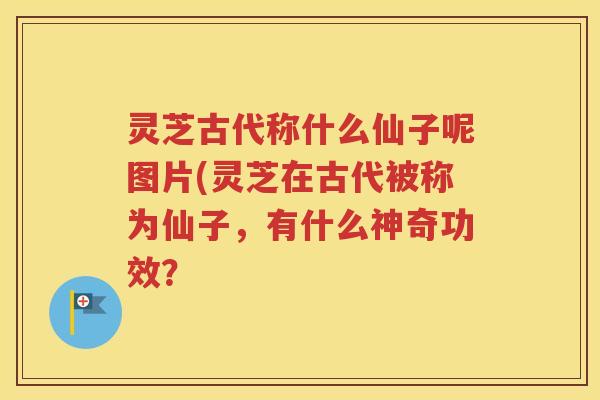 灵芝古代称什么仙子呢图片(灵芝在古代被称为仙子，有什么神奇功效？