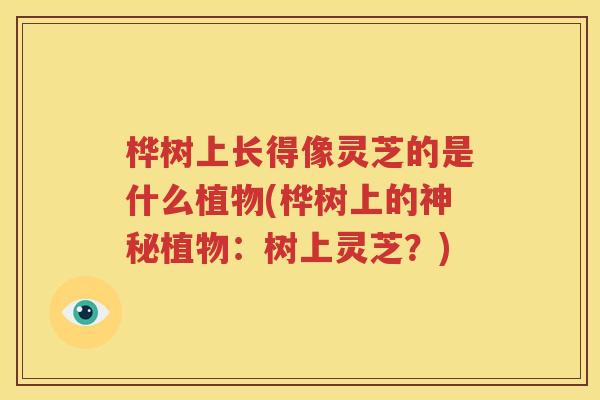 桦树上长得像灵芝的是什么植物(桦树上的神秘植物：树上灵芝？)