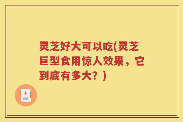 灵芝好大可以吃(灵芝巨型食用惊人效果，它到底有多大？)