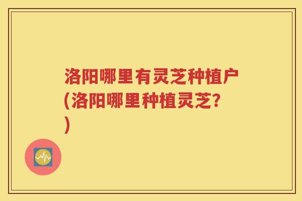洛阳哪里有灵芝种植户(洛阳哪里种植灵芝？)