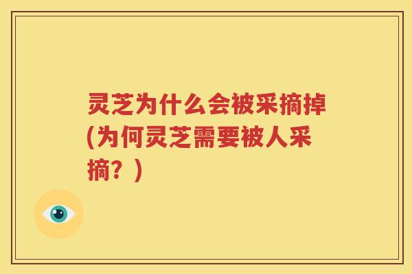 灵芝为什么会被采摘掉(为何灵芝需要被人采摘？)