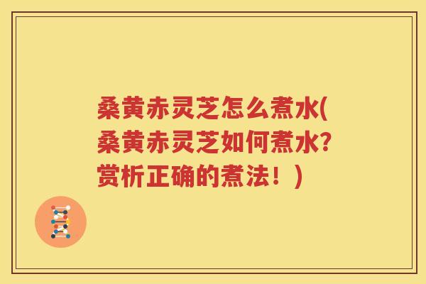 桑黄赤灵芝怎么煮水(桑黄赤灵芝如何煮水？赏析正确的煮法！)