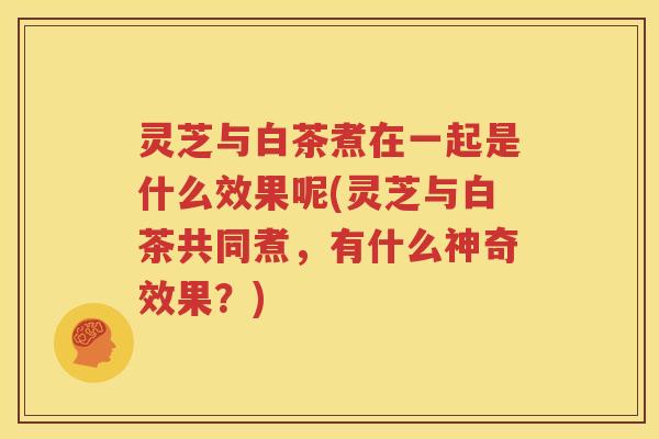 灵芝与白茶煮在一起是什么效果呢(灵芝与白茶共同煮，有什么神奇效果？)