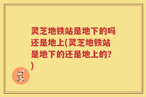 灵芝地铁站是地下的吗还是地上(灵芝地铁站是地下的还是地上的？)