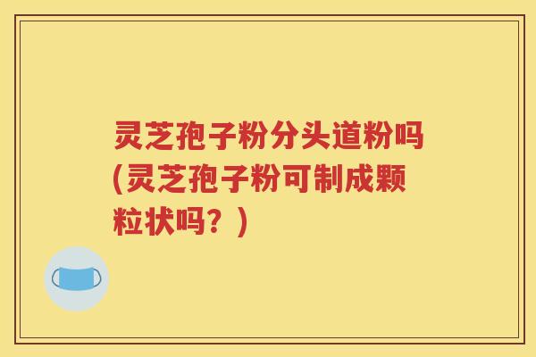 灵芝孢子粉分头道粉吗(灵芝孢子粉可制成颗粒状吗？)