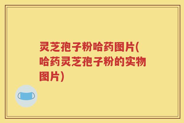 灵芝孢子粉哈药图片(哈药灵芝孢子粉的实物图片)