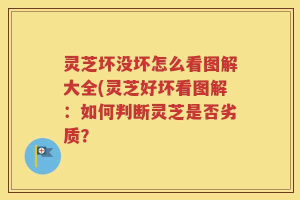 灵芝坏没坏怎么看图解大全(灵芝好坏看图解：如何判断灵芝是否劣质？