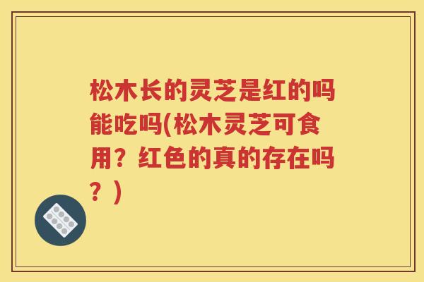 松木长的灵芝是红的吗能吃吗(松木灵芝可食用？红色的真的存在吗？)