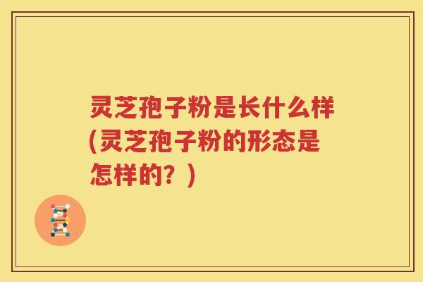 灵芝孢子粉是长什么样(灵芝孢子粉的形态是怎样的？)