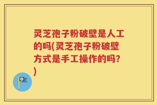 灵芝孢子粉破壁是人工的吗(灵芝孢子粉破壁方式是手工操作的吗？)