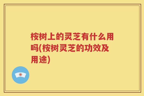 桉树上的灵芝有什么用吗(桉树灵芝的功效及用途)