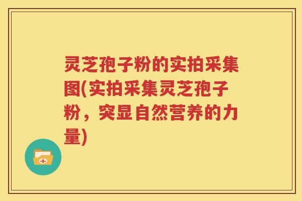 灵芝孢子粉的实拍采集图(实拍采集灵芝孢子粉，突显自然营养的力量)