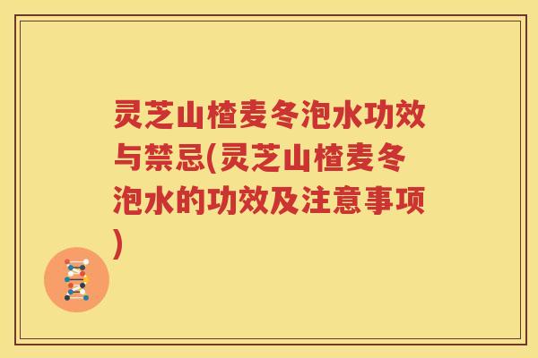 灵芝山楂麦冬泡水功效与禁忌(灵芝山楂麦冬泡水的功效及注意事项)