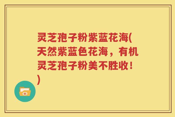 灵芝孢子粉紫蓝花海(天然紫蓝色花海，有机灵芝孢子粉美不胜收！)