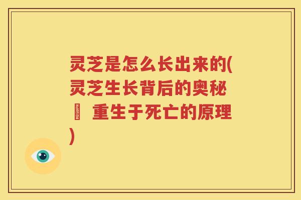 灵芝是怎么长出来的(灵芝生长背后的奥秘 – 重生于死亡的原理)