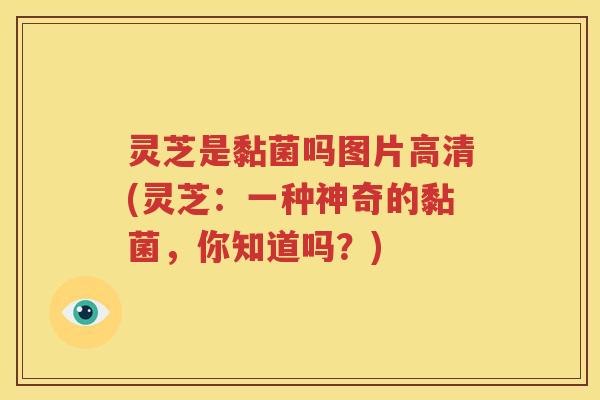 灵芝是黏菌吗图片高清(灵芝：一种神奇的黏菌，你知道吗？)