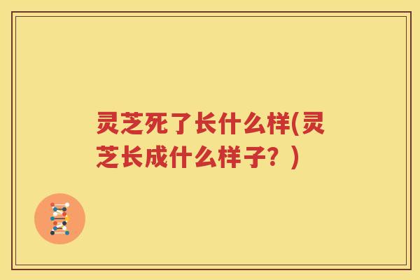 灵芝死了长什么样(灵芝长成什么样子？)
