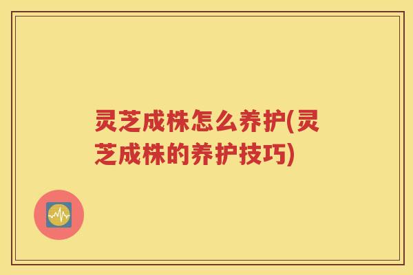 灵芝成株怎么养护(灵芝成株的养护技巧)
