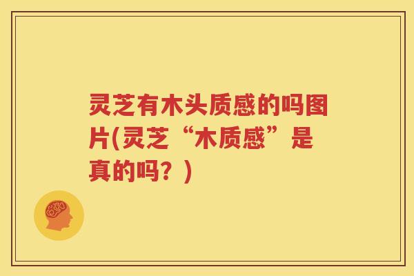 灵芝有木头质感的吗图片(灵芝“木质感”是真的吗？)