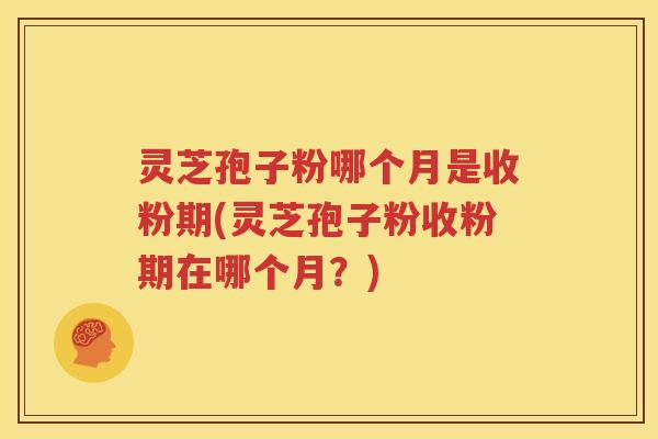 灵芝孢子粉哪个月是收粉期(灵芝孢子粉收粉期在哪个月？)